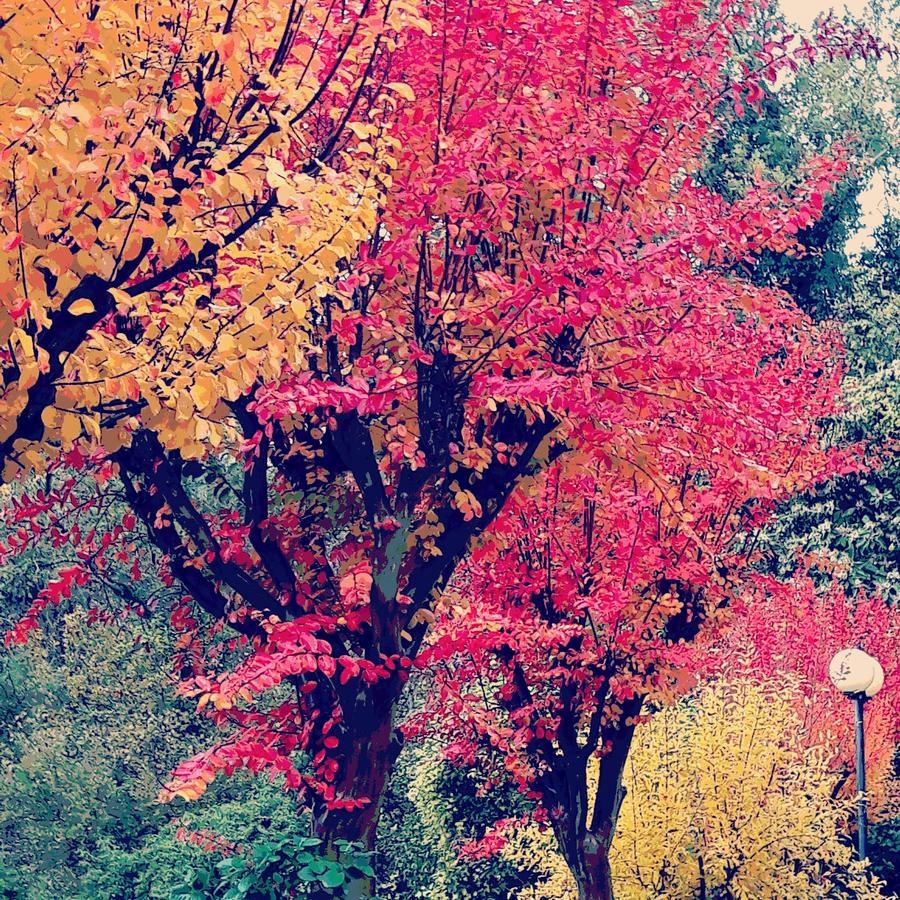 Impronte Nel Bosco Bed & Breakfast Calice al Cornoviglio ภายนอก รูปภาพ